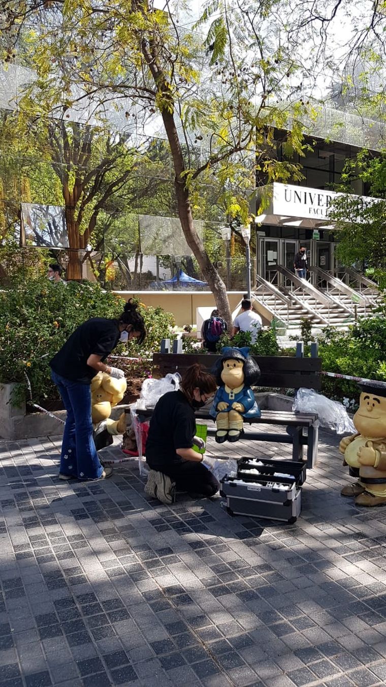 Foto: Gentileza: Departamento de Comunicación de la Universidad de Mendoza.