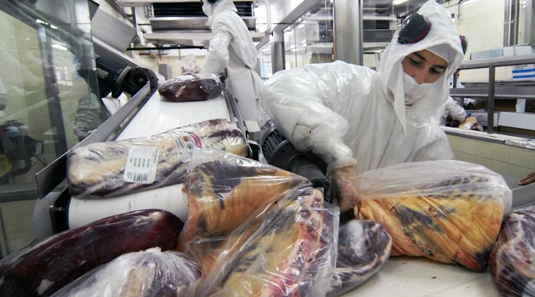 Fuerte suba de la carne tras la devaluación del peso argentino. Foto: NA