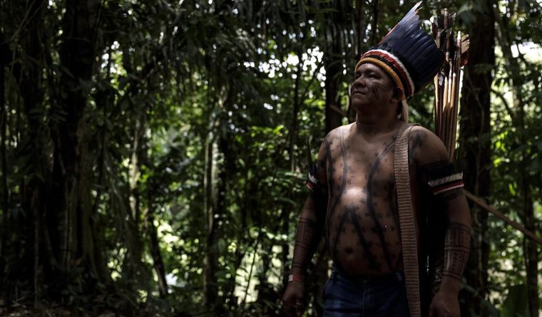El proyecto busca salvar ese espacio vital del planeta. Foto: Efe.
