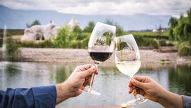 Un vino tinto mendocino fue considerado el mejor de Argentina.