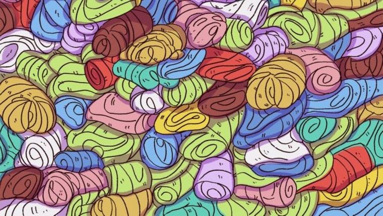 Acertijo visual, reto visual, cachorro Pinterest