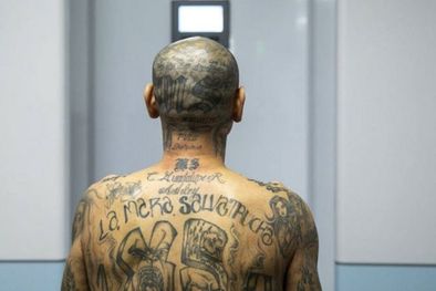 MDZol | Cientos de presuntos pandilleros de la Mara Salvatrucha (MS-13) están establecidos en México (en la imagen, uno de sus miembros en la nueva megacárcel de El Salvador). Foto: GOBIERNO DE EL SALVADOR