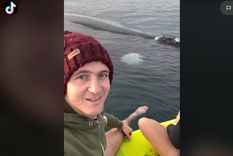 hacian kayak en puerto madryn y se llevaron una sorpresa que no olvidaran en su vida