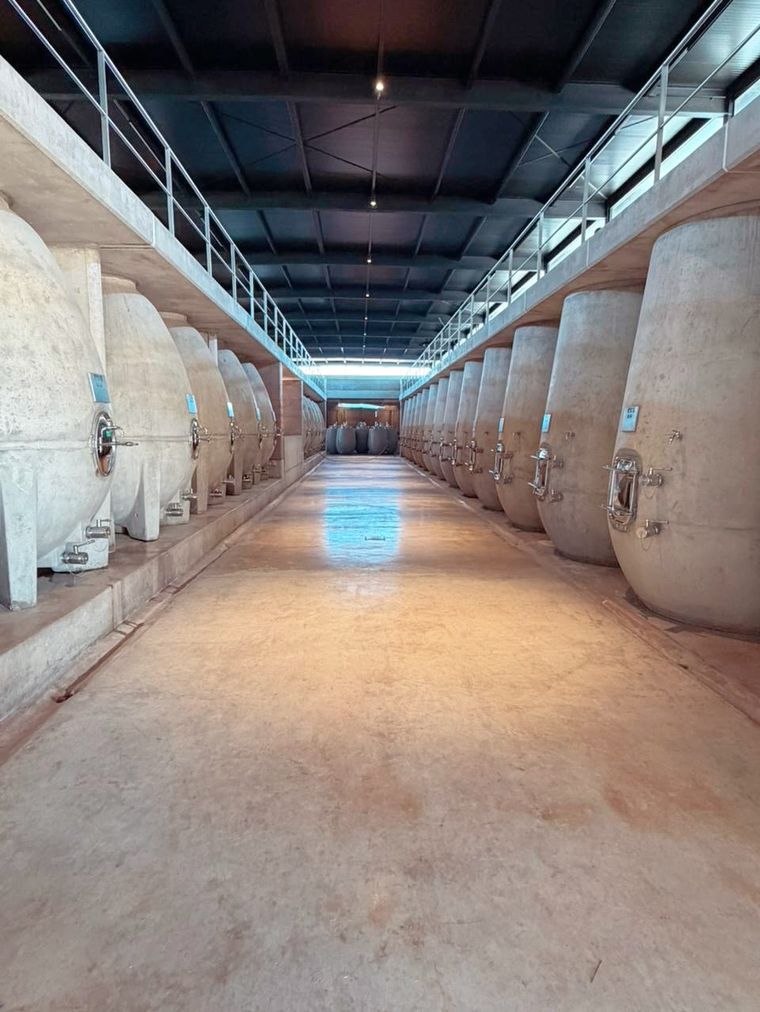 La bodega decidió apostar por la construcción de un nuevo edificio para sus vinos naturales.&nbsp;