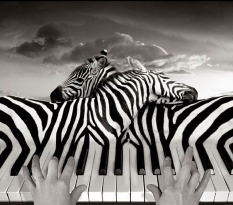 Test de personalidad