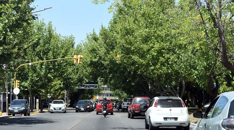 Foto: ALF PONCE / MDZ