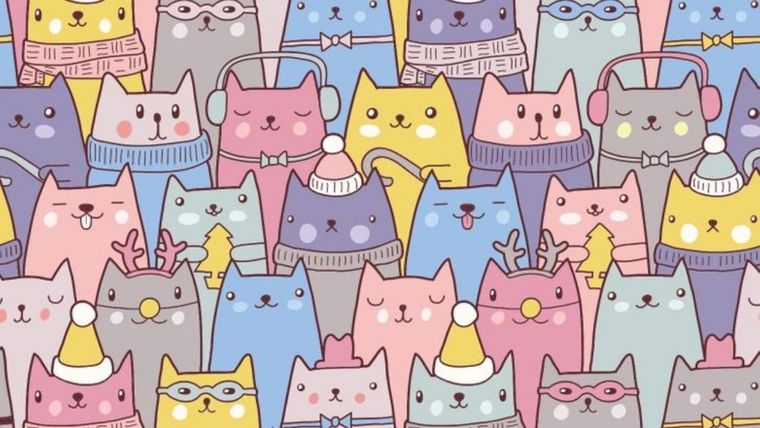 Acertijo visual, reto visual, conejo