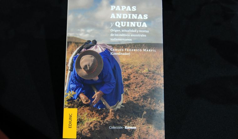 La portada del libro. La portada del libro.