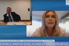 Felipe Solá y Silvia Elías de Pérez, debatiendo.