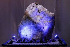 El zafiro azul, exhibido en Sri Lanka. Foto: Dinuka Liyanawatte / Reuters