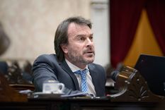 El diputado nacional, Lisandro Nieri. Foto: X @DiputadosAR