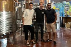 Los hermanos Daniel, Noel y Diego Casado son los autores del gin mendocino que quedó entre los mejores del mundo.