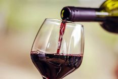 Foto: news-medical.net