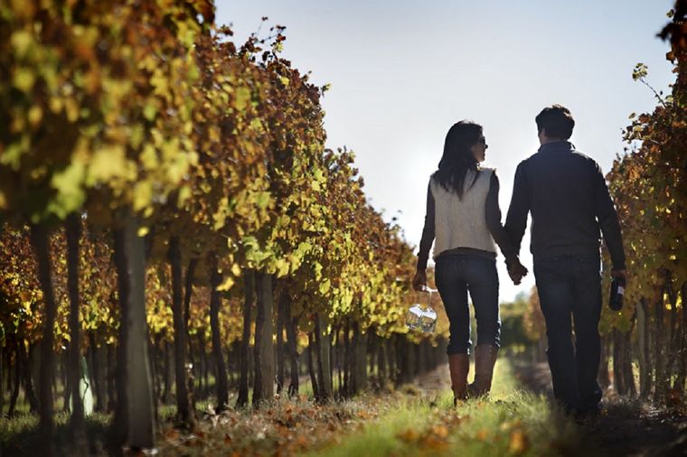 El turismo del vino crece entre las bodegas argentinas por el interés del turismo extranjero, esencialmente. Foto: Turismo San Martín