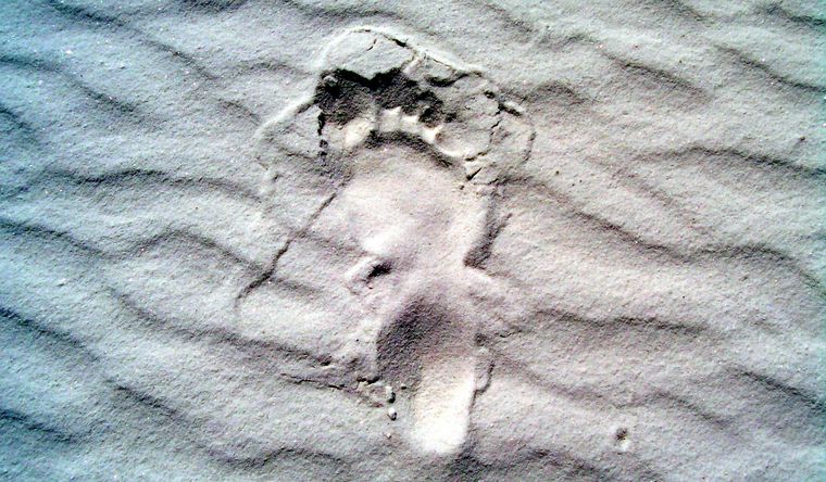 Hallazgo arqueológico de una huella de seres humanos en el Parque Nacional White Sands. Foto Wikipedia Hallazgo arqueológico de una huella de seres humanos en el Parque Nacional White Sands. Foto Wikipedia