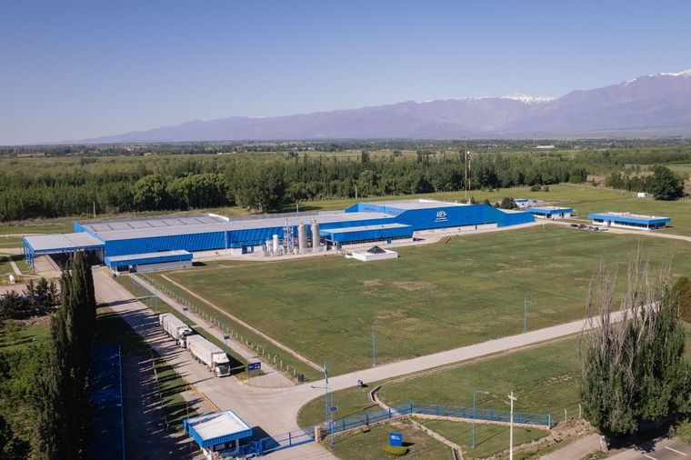 La empresa ubicada en Tunuyán lleva 30 años operativa y es la primera de Mendoza en lograr la cero emisión de carbono. Foto: Eco de los Andes