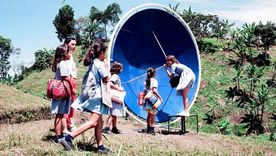 En las instalaciones de Gaviotas, el aprendizaje ocurre mediante un enfoque del tipo "trae a tu hijo al trabajo", en el que los coordinadores de grupo enseñan informalmente a los niños sobre silvicultura, agricultura, energías renovables y biocombustibles.