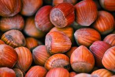 La empresa se dedica a la venta de frutos secos. Foto: pixabay