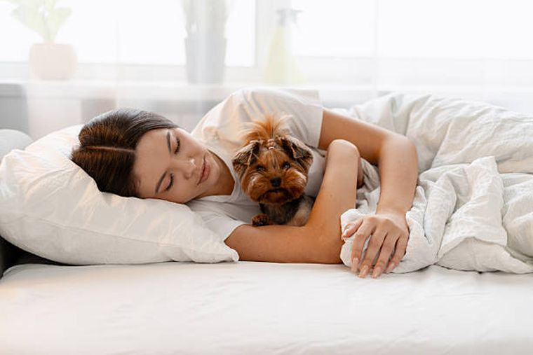 El motivo psicológico por el que tantas personas eligen dormir con sus mascotas