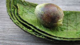 Mira sus usos. Mira sus usos.