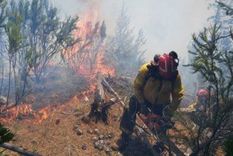 Foto: Foto ilustrativa