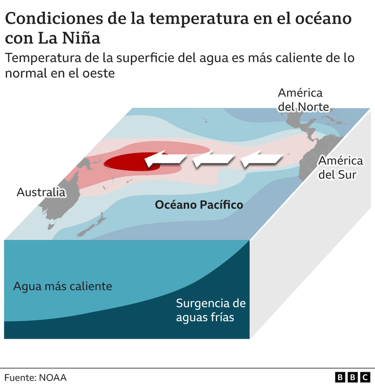 https://www.bbc.com/mundo/articles/cvgz4dx1yeno
