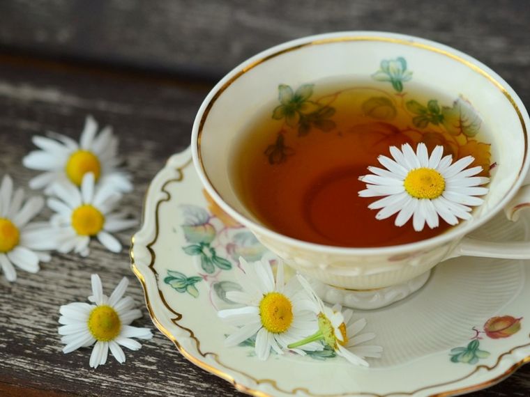 El té de manzanilla con anís cuanta con numerosos beneficios para la salud Foto: Shutterstock