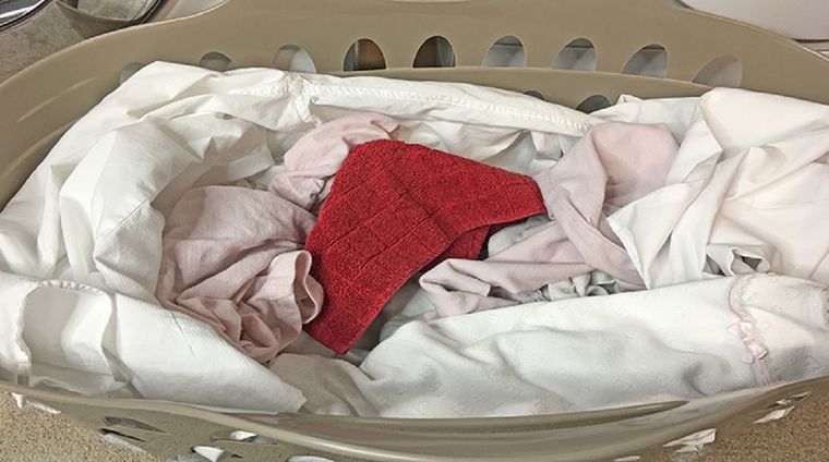 Un intruso puede terminar estropeando un lavado por completo. Foto: Tu hogar