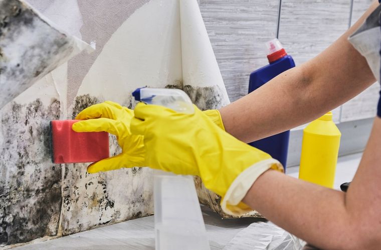 Un truco de limpieza que no falla. Foto: Shutterstock Un truco de limpieza que no falla. Foto: Shutterstock