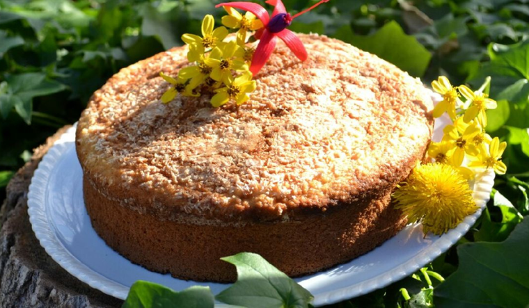 Recreá la receta de torta de coco y dulce de leche como la de la panadería.