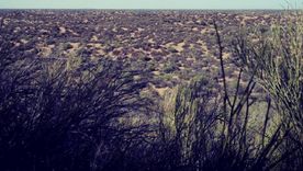 Reserva Telteca Reserva Telteca