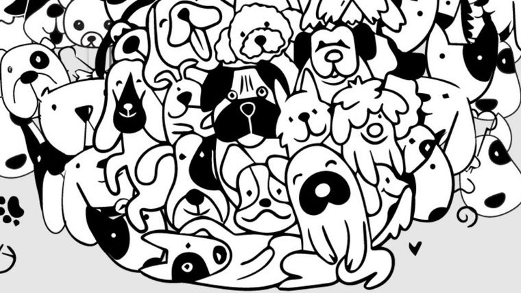 Su ubicación camuflada entre los perros hace que no sea tan fácil de detectar a simple vista. Foto: Archivo MDZ