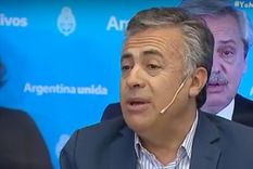 El diputado nacional Alfredo Cornejo.