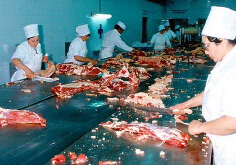 El desafío del sector es poder generar mayor producción.