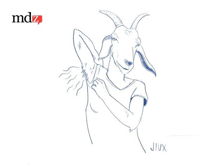 Foto: Andrés Hughes