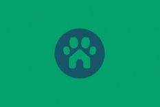 Test de personalidad