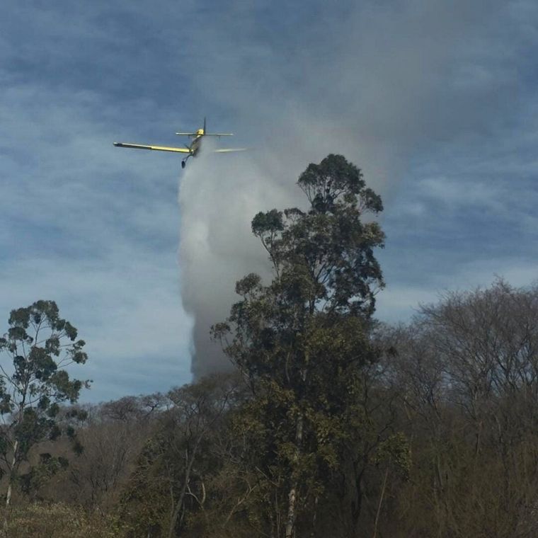 En lo que va del mes de octubre se registraron 37 incendios en la provincia de Jujuy, de los cuales 26 ya fueron extinguidos.