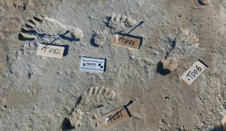 Las huellas pertenecen a niños y adolescentes que vivieron hace 21.000 años Foto: Universidad de Bournemouth