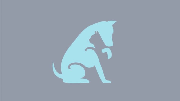 Test de personalidad