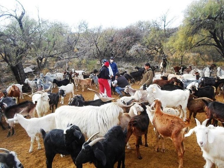 Productores afectados por la sequía podrán solicitar beneficios