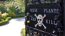 "Estas plantas pueden matar", la advertencia en la puerta del Jardín de los Venenos.