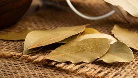 El laurel se asocia a calma, protección y buena energía en la rutina nocturna. El laurel se asocia a calma, protección y buena energía en la rutina nocturna.