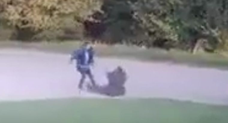 El episodio ocurrió sobre la calle Aristizabal, en la localidad de Coronel Vidal. Foto: Captura de video