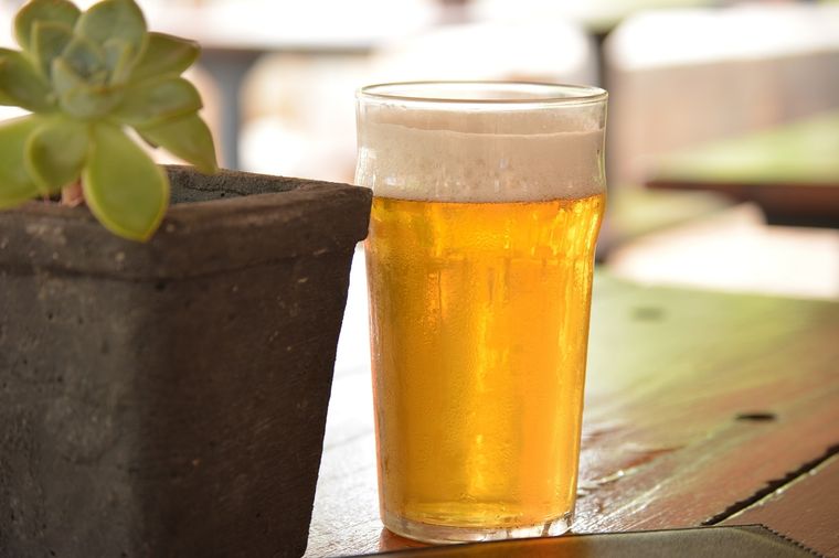 La cerveza es un potente fertilizante casero Foto: Shutterstock