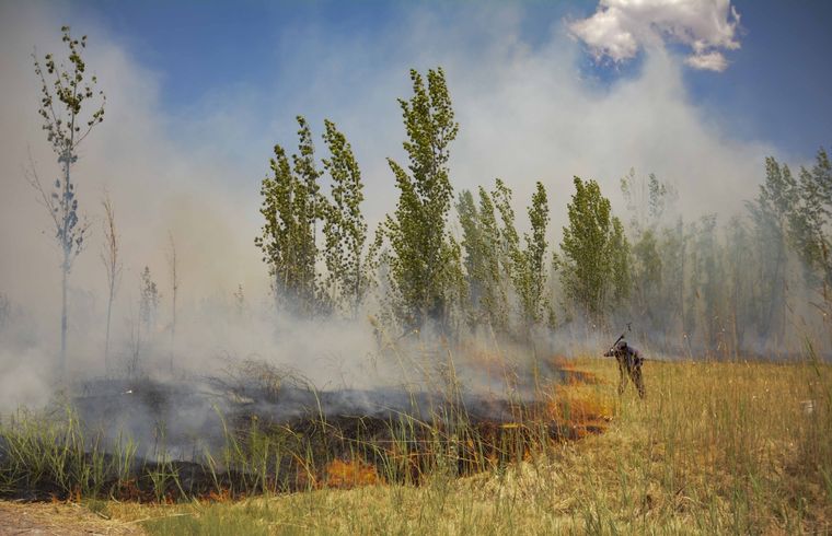Los incendios afectaron a los vecinos aledaños de las zonas del Challao y Luján de Cuyo Foto: Télam