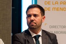 Foto: Santiago Tagua/MDZ Foto: Santiago Tagua/MDZ