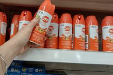 Por la alta demanda de repelentes y espirales, las pocas unidades disponibles se venden a precios exorbitantes Foto: Micaela Blanco Minoli / MDZ