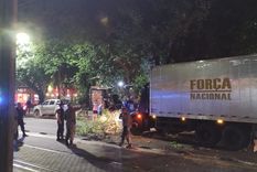 El conductor calculó mal y derribó unas ramas.