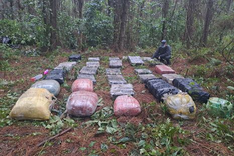 operativo rastro esmeralda: confiscaron mas de media tonelada de drogas en misiones operativo rastro esmeralda: confiscaron mas de media tonelada de drogas en misiones