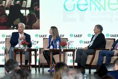 El presidente Milei tendrá un público favorable en la convención del IAEF Foto: Rodrigo DAngelo / MDZ